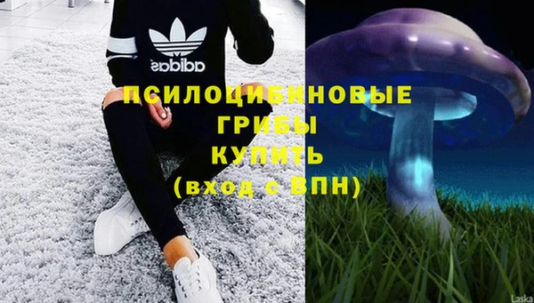 ECSTASY Кукмор