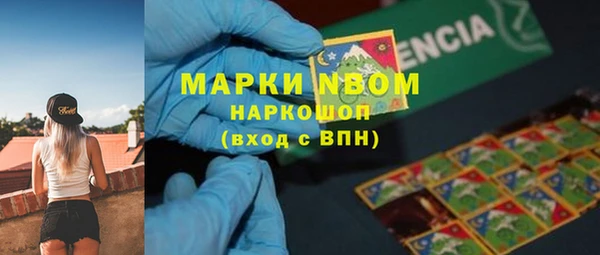 ECSTASY Кукмор