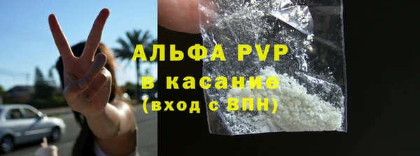 хмурый Ладушкин