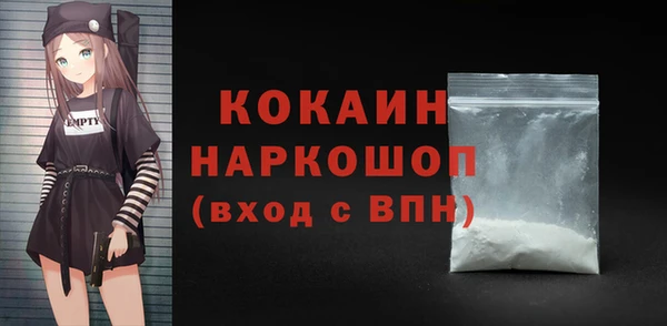 хмурый Ладушкин