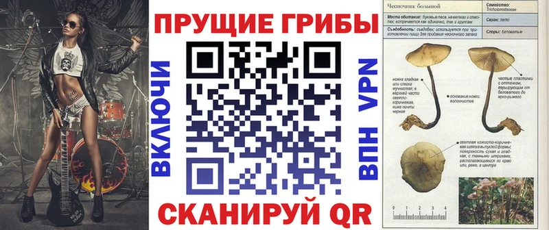 Псилоцибиновые грибы GOLDEN TEACHER  магазин продажи   Тбилисская 
